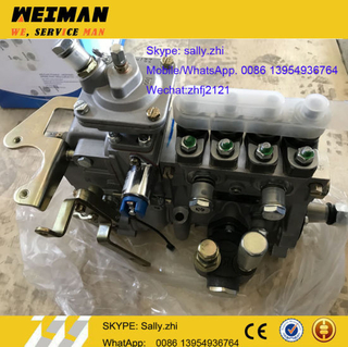 Sdlg Injection Pump 1000185678 / 4110002925025 for Sdlg Backhoe Loader B877