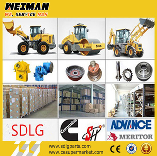 Sdlg 936 Parts Engine Parts Axle Parts Gearbox Parts