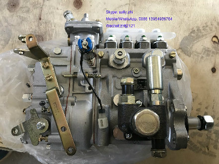 Sdlg Injection Pump 1000185678 / 4110002925025 for Sdlg Backhoe Loader B877