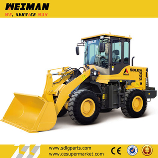 China Mini Wheel Loader Sdlg LG918L for Sale