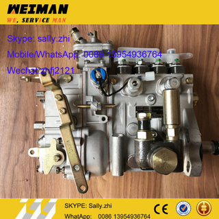 Sdlg Injection Pump 1000185678 /4110002925025 for Sdlg Loader LG936/LG956/LG958
