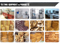 Wheel Loader Spare Parts, Engine Spare Parts, Sdlg Spare Parts