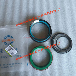 Original zoomlion parts seal kit E0755918400700001