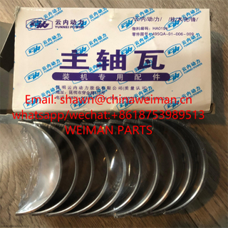 YUNNEI YN33GBZ MAIN BEARING HA0194 HA0422