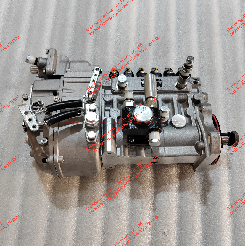 612601080618 Injection Pump 612601080618 Injection Pump