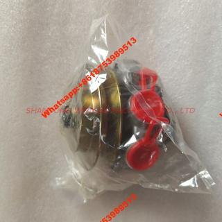 SdIg Wheel Loader LG958 Spare Parts Fuel Supply Pump 1106250A52D 4110000970100