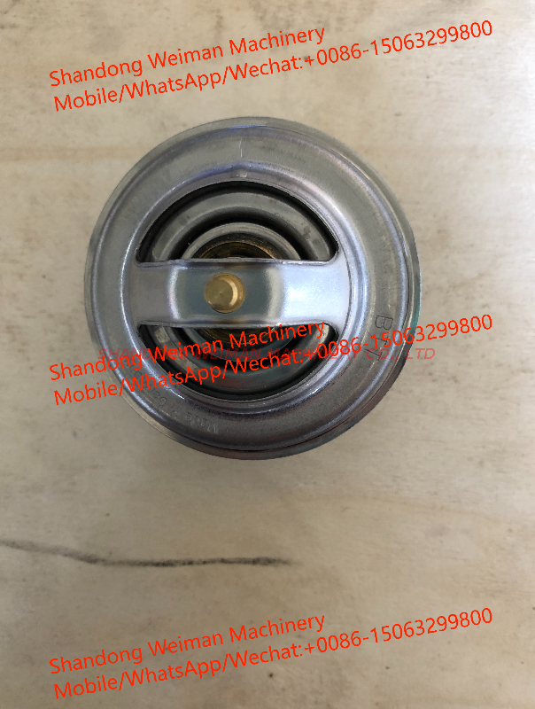20450736 Thermostato 20450736 Thermostato