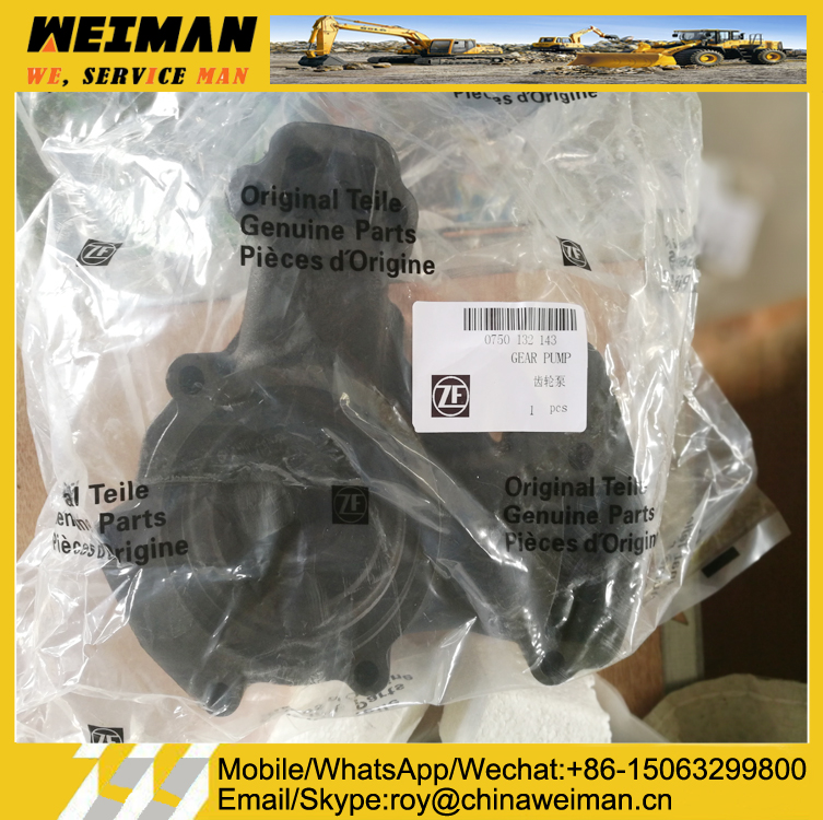 Gear Pump-0501004171-5 Gear Pump-0501004171-5