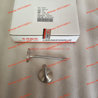 SCA19AL602 SCA19AL603B intake exhaust valve for C6121