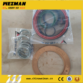 SDLG 290900880 Seal kit