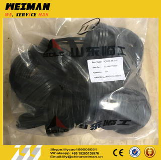 sdlg parts 4120001739008 sealing ring/SQUAR SEALS from China wheel loader parts