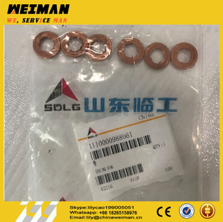 sdlg LG6225E excavator DEUTZ-DACHAI Engine BFM2012 spare parts SEALING RING 4110000509062