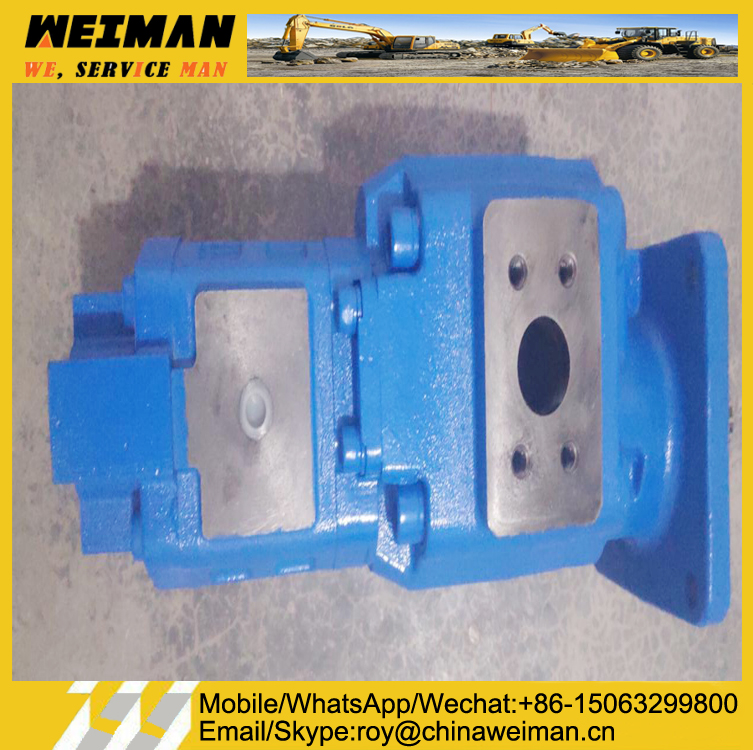 Gear Pump-4120000171-(3) Gear Pump-4120000171-(3)