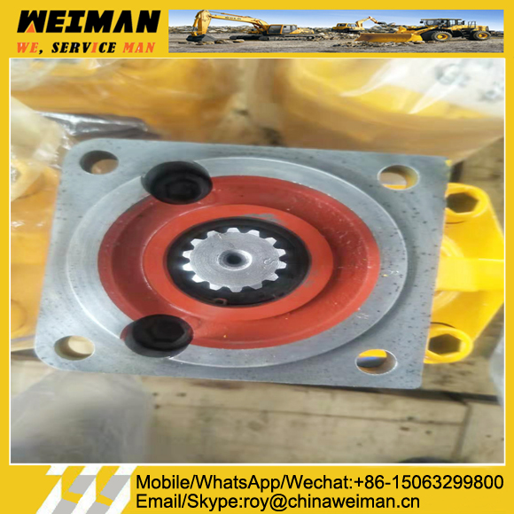 TANDEM PUMP-W062800000-(2) TANDEM PUMP-W062800000-(2)