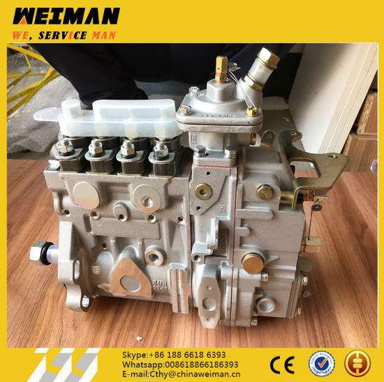 4110002925025 Injection Pump 1000185678# for Wheel Loader