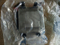 Sdlg LG958L Dachai Bf6m1013 ECU 4130001871 for India Market