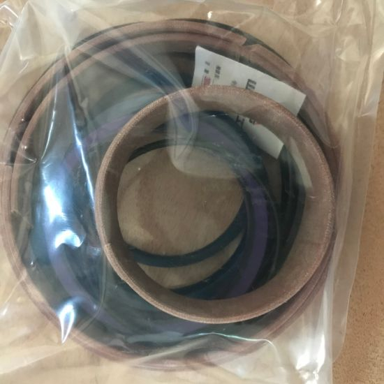 Sdlg LG936L LG956L Wheel Loader Spare Parts 4120000868101 Sealing Ring Kit