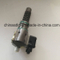 Unit Injection Pump Ndb008 4110001007067 for Sdlg Payloader