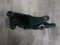 LG958L Wheel Loader Spare Parts 4110000970120 Generator Bracket 3701039-52D