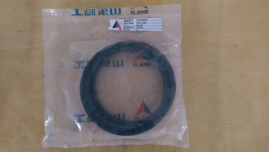 Sdlg LG936L Frame Oil Seal Hg4-692-Pd130*160*12, Skeleton Oil Seal 4030000046/ 4030000048 for LG936L Final Drive Assembly