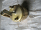 Sdlg LG933/LG936/LG938 Wheel Loader Parts Air Reservoir 4120000506