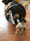 4120000506 Spring Brake Chamber for Wheel Loader