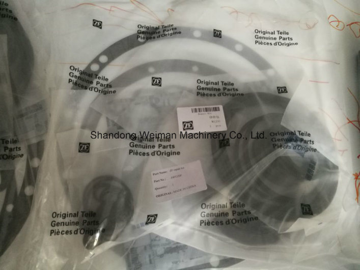 4wg 200 Repair Kit for Zf Transmission/Gearbox