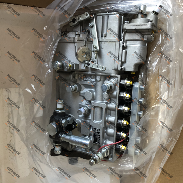 Shanghai Diesel Engine C6121 SC11 Fuel Injection Pump CP61Z-P61Z612+A BH6P110