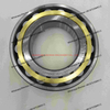 B120320001 BEARING