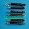 SDLG Wheel Loader LG936L Engine Spare Parts Fuel Injector 4110001007128