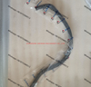 612600012525 4110000556224 hose for weichai engine