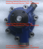 1000054019 Water Pump For Weichai Engine Spare Parts