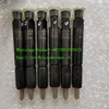 SDLG LG958L Wheel Loader Engine BF6M1013 Spare Parts Injector 4110002549002 4110001009059