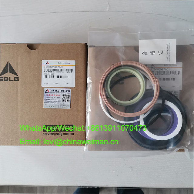 SDLG Construction Equipment Seal kit 4120005977001