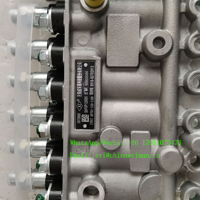 DCEC 6CT8.3 Engine Spare Parts Fuel injection pump 3973900