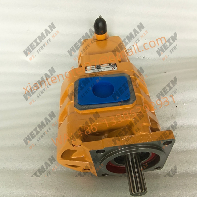 4120001059 Dual Pump 2911000004 4041000625 4041000624 For SDLG Wheel Loader LG938 