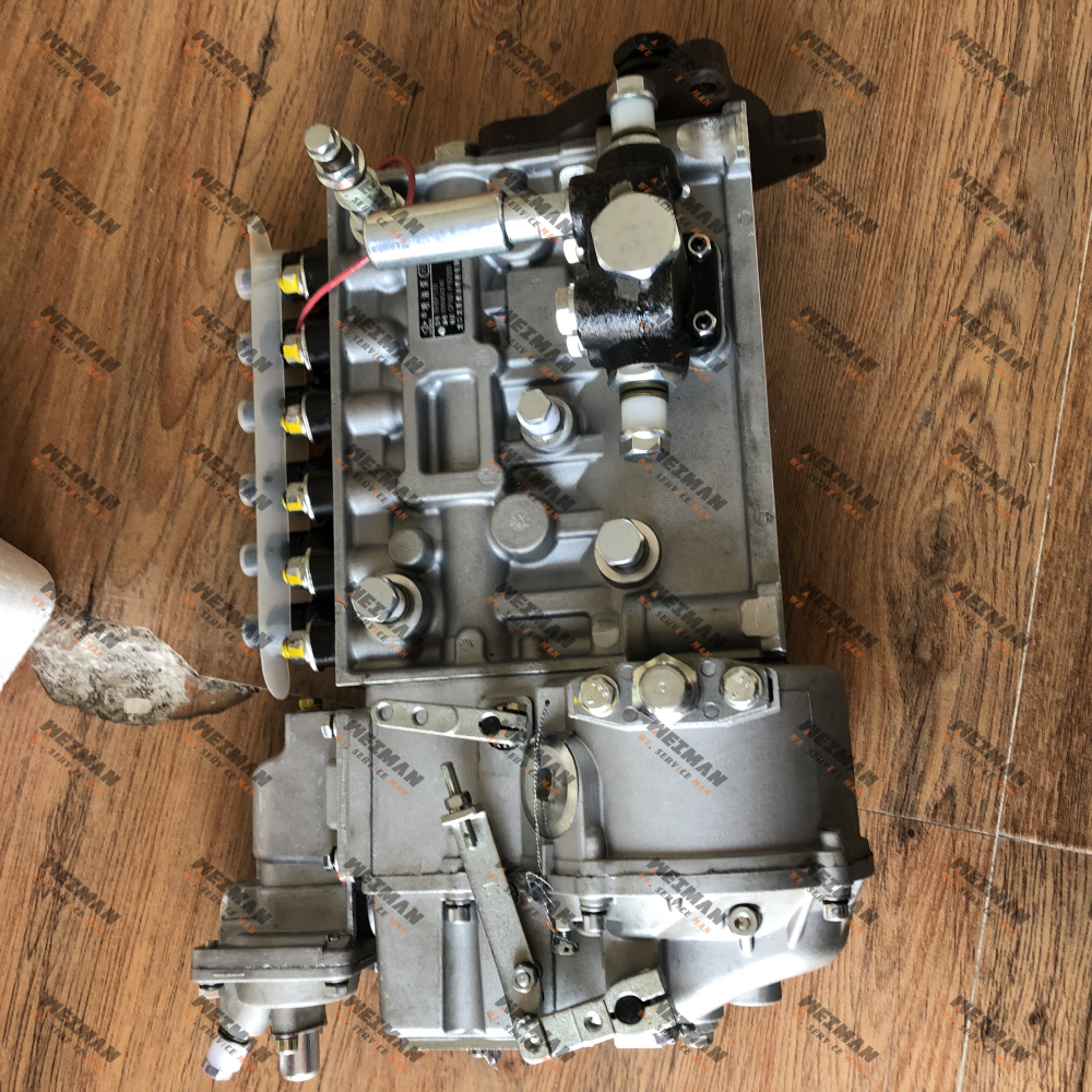 BH6P110 (1)(1)