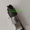Weichai Common Rail Diesel Fuel Injector 0445120265 612630090028