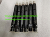 SDLG LG958L Wheel Loader Engine BF6M1013 Spare Parts Fuel Injector 4110002549002 4110001009059