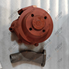 4RG.510200 water pump 