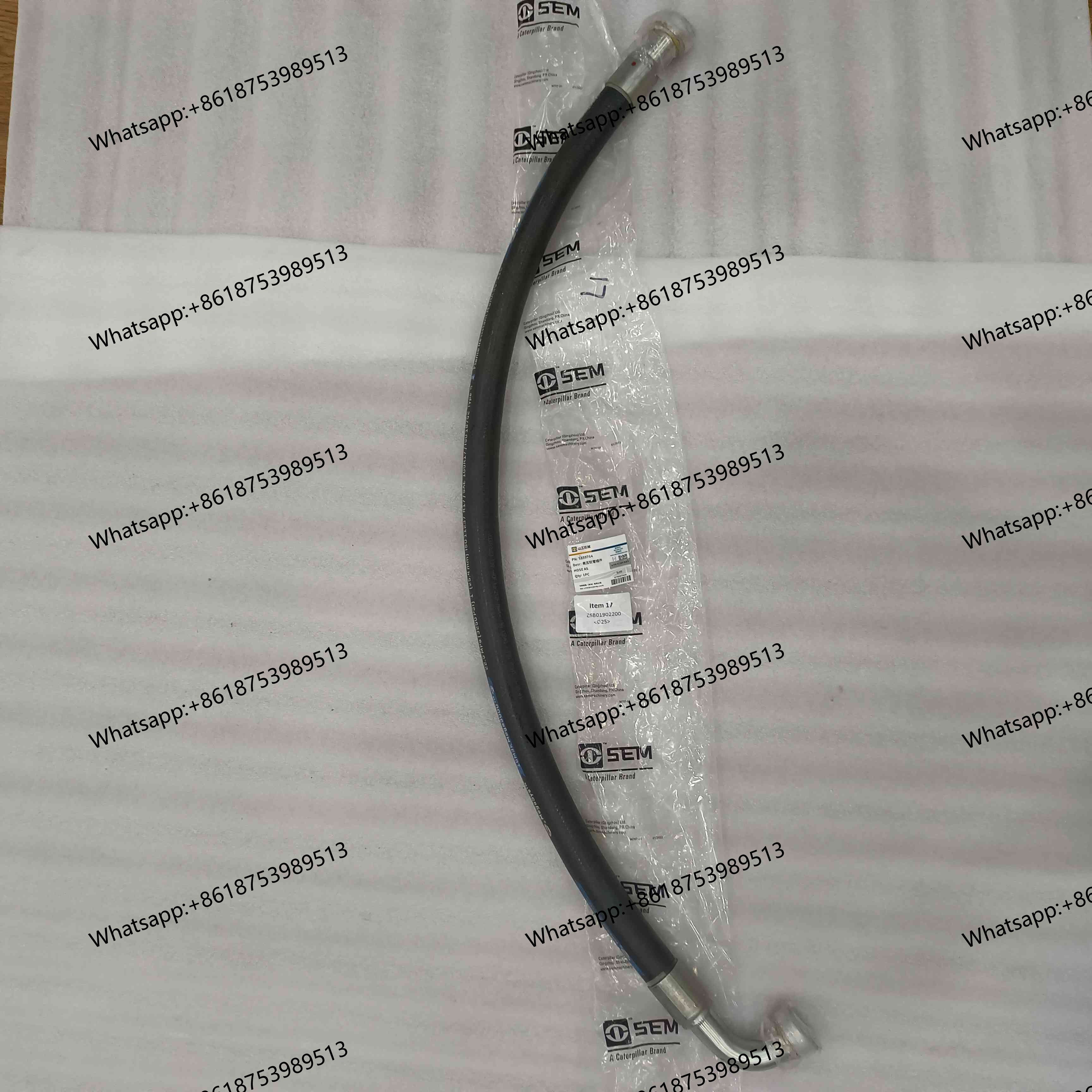 Z6B01902200