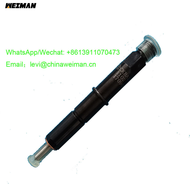 SDLG Wheel Loader LG936L Engine Spare Parts Fuel Injector 4110001007128