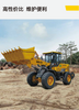 L0330W4215A29E0 SDLG L933H Wheel Loader with 92KW WP4.6NG135E501 Engine